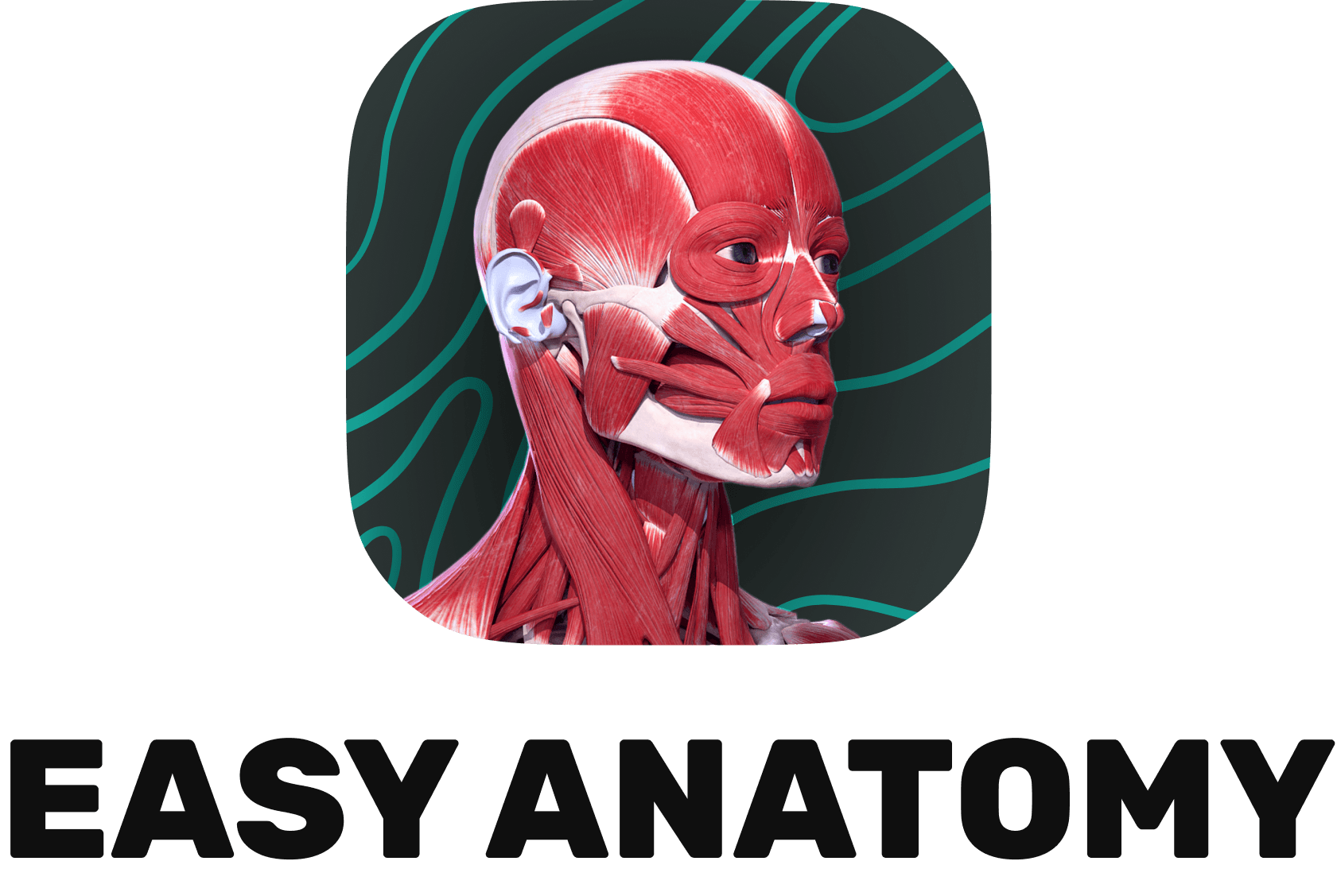 EASY ANATOMY FZCO